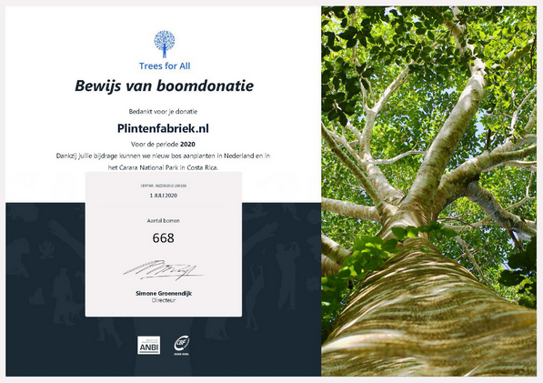 Samenwerking Plintenfabriek en Trees for All